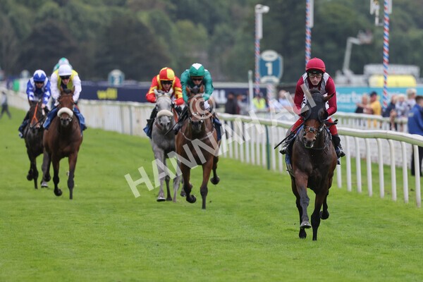 yr24092021r5-19 - Race 5 3.50pm William Hill Leading On Course Bookmaker Stakes