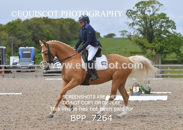 BPP_7264 - 3 D HARRISON