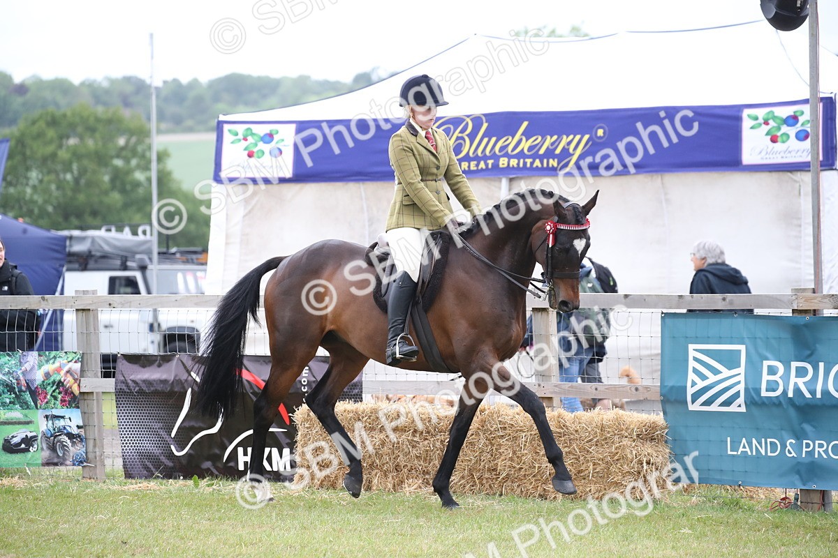 SBM_11392 - Class 94 - LIHS BSHA Racehorse to Showhorse