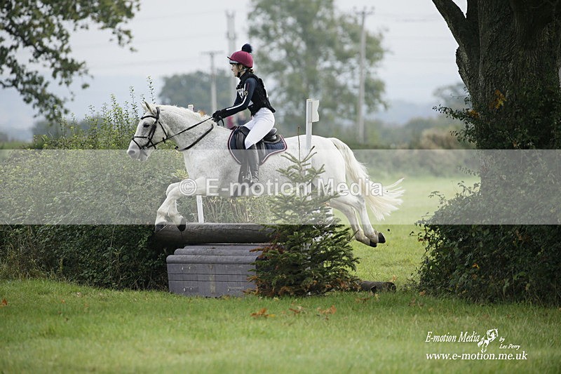  WWHT 171021 0827 - Open Novice (0.80m)  17/10/21