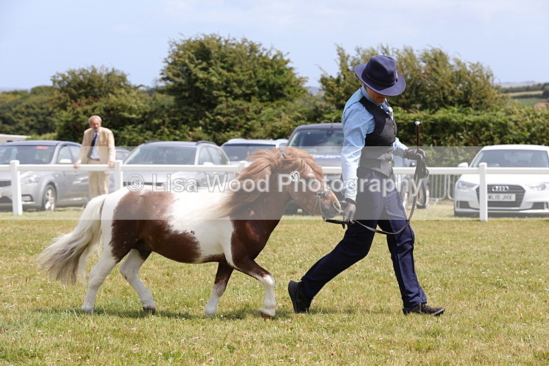 1X9A4840 - Class 35: Veteran In Hand