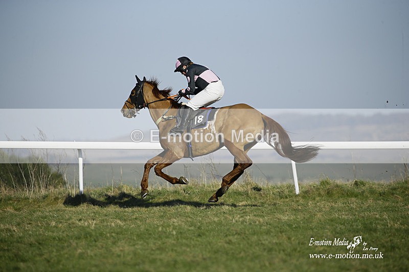 PtP 270222 261 - South & West Wilts Point-to-Point Larkhill 27/02/22