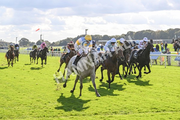 111024-Race 2-Mirabeau-1487 - Race 2 2.05pm British EBF £100,000 Final