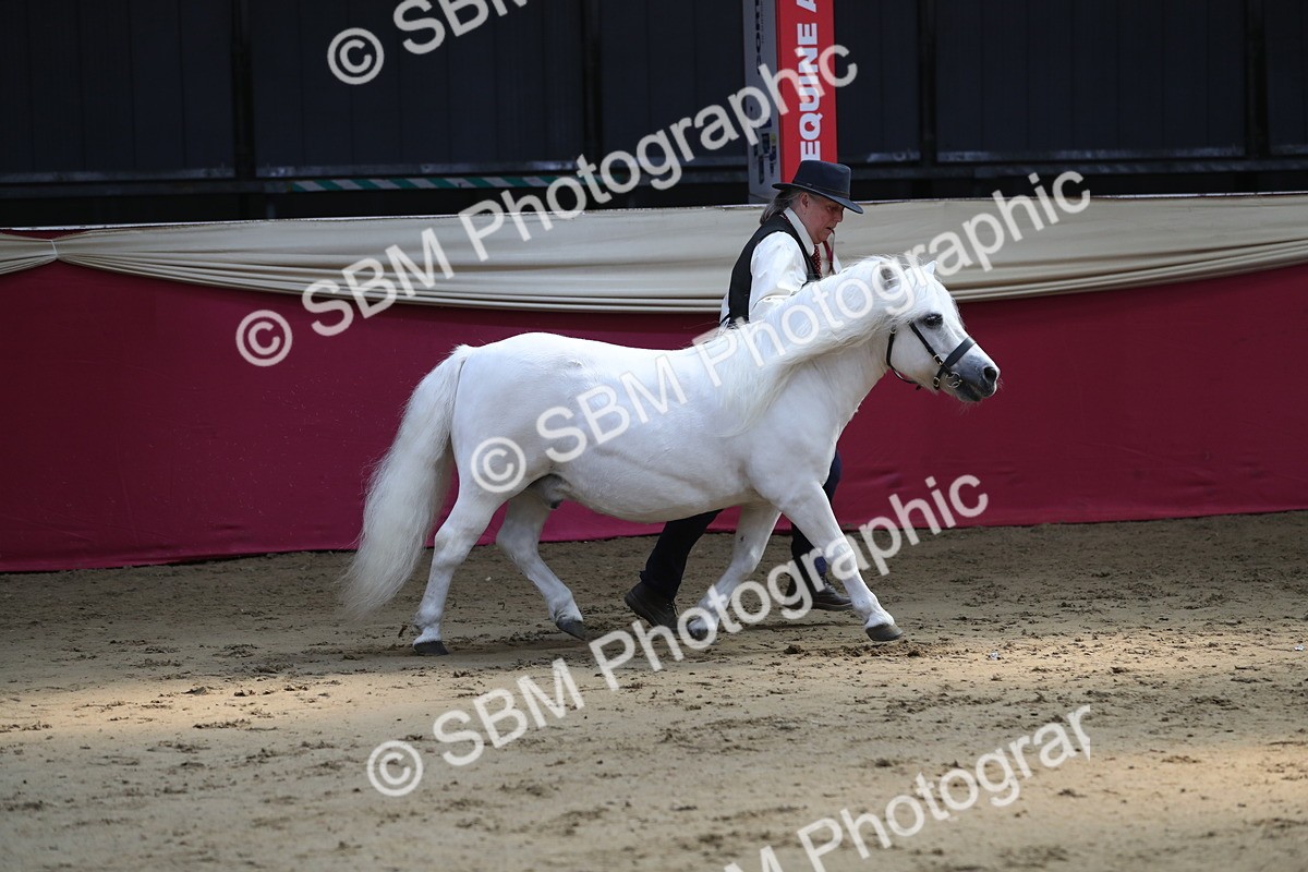 SBM_04921 - Class 8R- Regional -IH Veteran