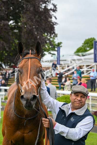 150525-First Legion-5247 - Race 6 4.55pm Frank Whittle Partnership ebfstallions.com Novice Stakes