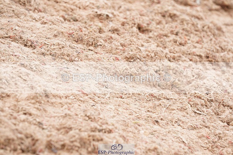 250505-154822-05113 - Cls 10+11 Children on Horses