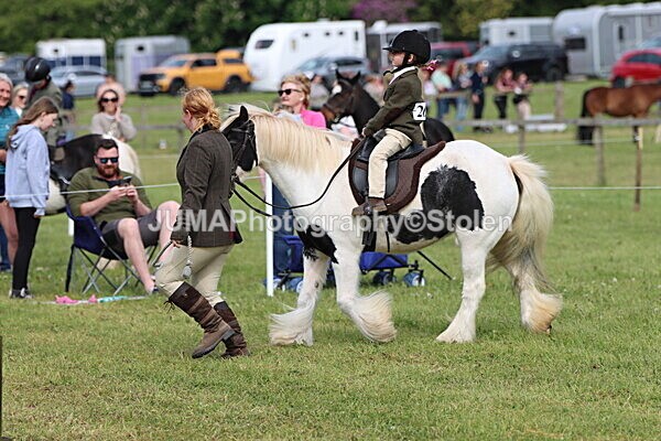 IMG_2296 - Working Hunter