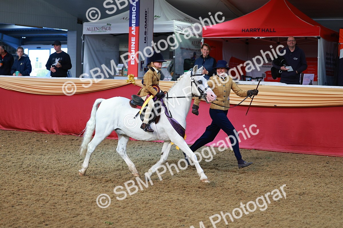SBM_07767 - Class 101 - HOYS Veteran Qualifier - Ridden Diamond