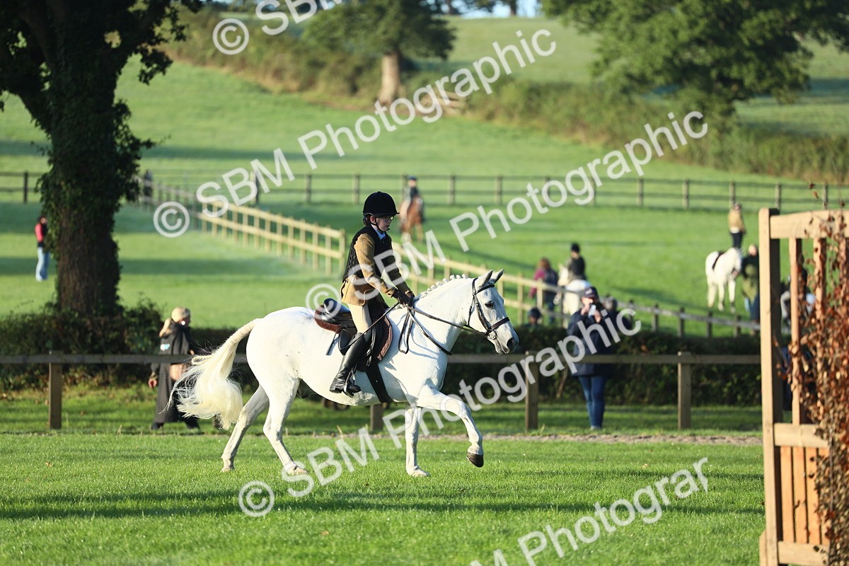 SBM_31720 - S28 - Nursery Stakes Working Hunter Pony