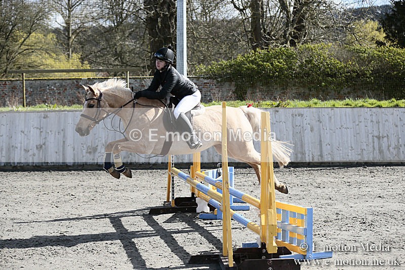 BVRC SJ 170319 268 - Bourne Valley Riding Club Showjumping 17/03/19