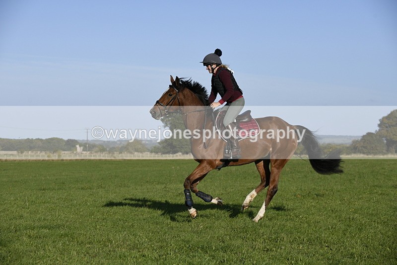 _DSC3918 - Time 08:53 to 09:55