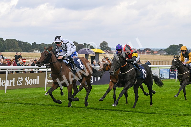 240924-Race 3-Nala Star-6117 - Race 3