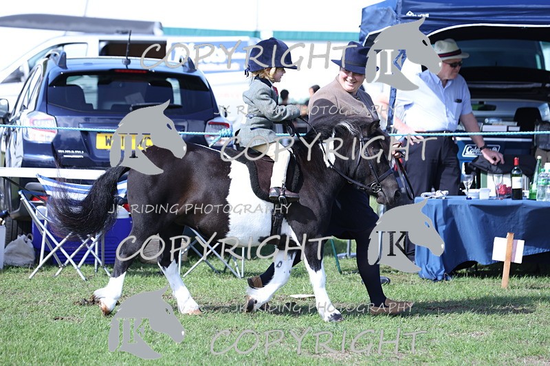 APP_3828 - Class 13 Lead rein