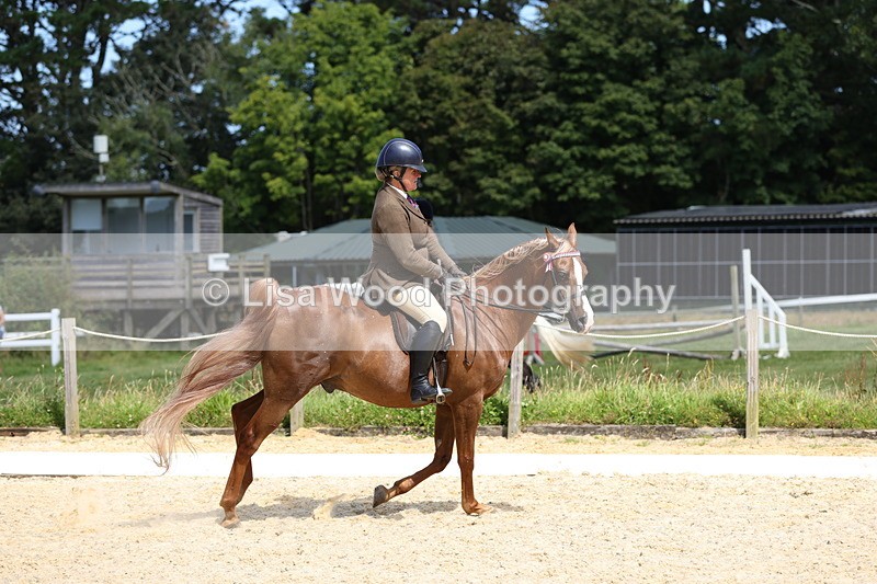 1X9A8352 - Class 13: Arab Ridden