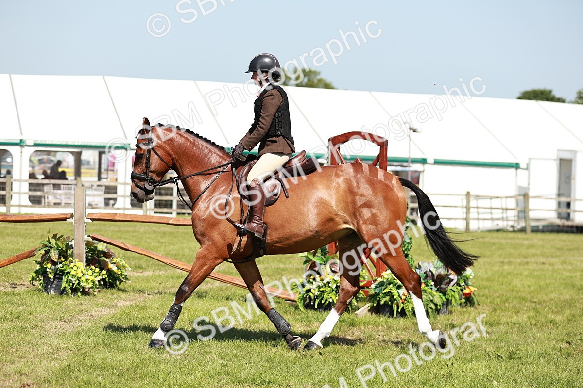 SBM_18312 - Class 112-113 - BSPS LIHS Working Sports Pony