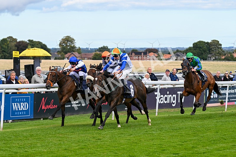 160926-Race 2-Northern Viola-9712 - Race 2 2.43pm Young Guns Nursery Handicap
