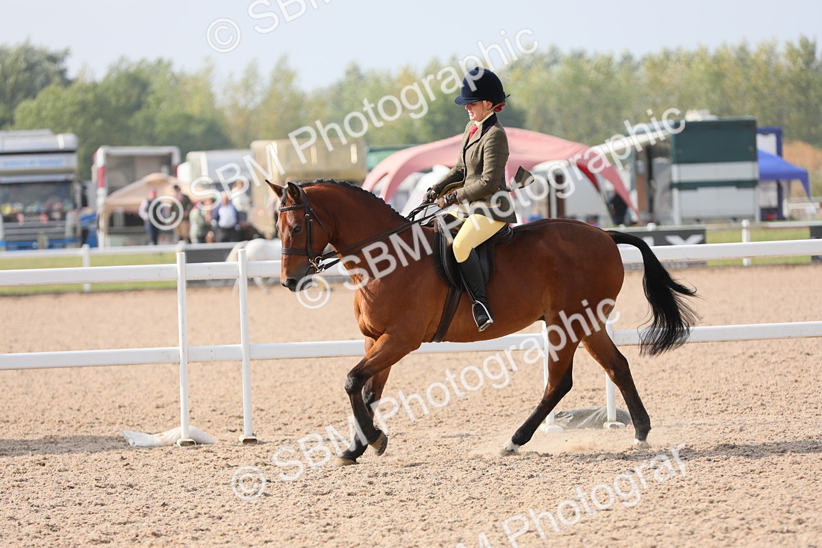 SBM_10913 - Class 304 Ridden Part Bred Horse/Pony