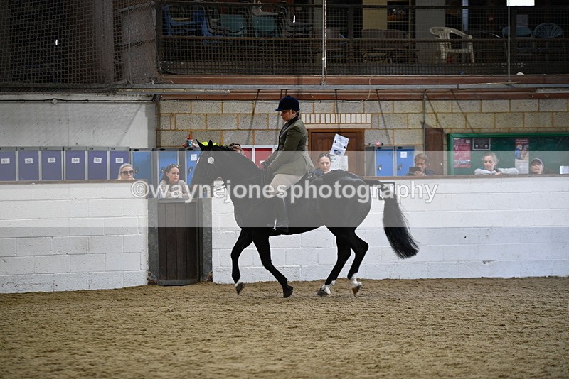 WJ5_7823 - Class 13 Ridden Part Breed