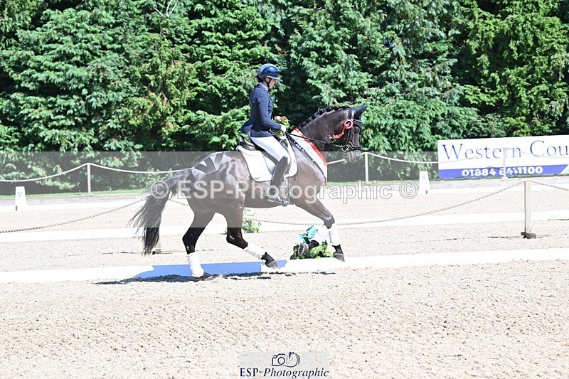 240811-153507-06675 - Adv Medium Gold