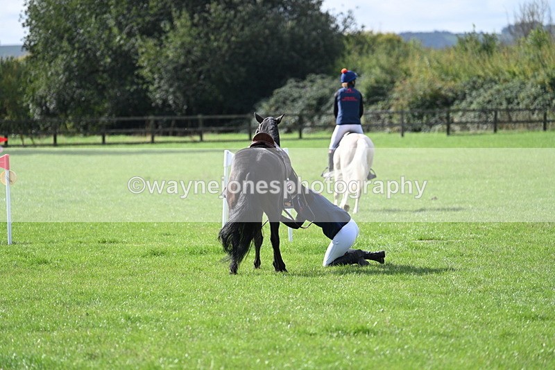 WJ7_8545 - 60cm Pairs