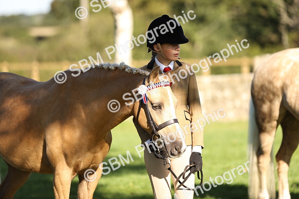 SBM_15882 - S1 - TSR in Hand Horse & Pony Showing