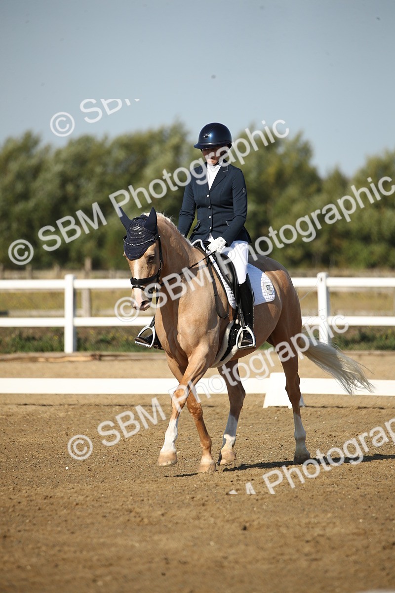 SBM_004530 - Class 11 - Novice 5 - 9.0010.03