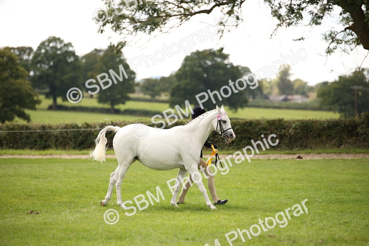 SBM_44536 - S24 - Young Veteran in hand