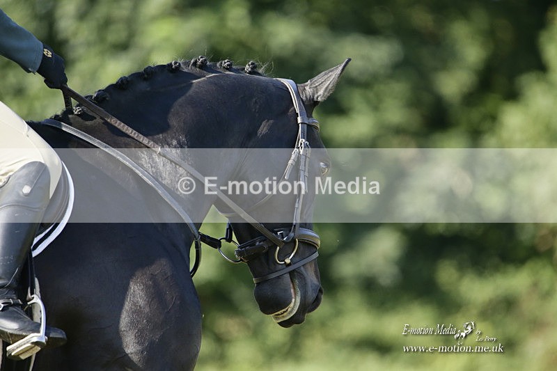 BVRC 120921 157 - Bourne Valley Riding Club UA Dressage & Show Jumping 12/09/21