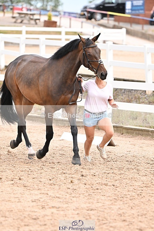 250716-143940-01277 - Trot Up 2.30 to 3.30