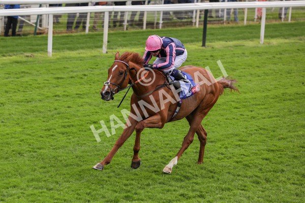 150524-Race 1-Crystal Delight-1440 - Race 1 2.15pm Sky Bet Race To The Ebor Jorvik Handicap
