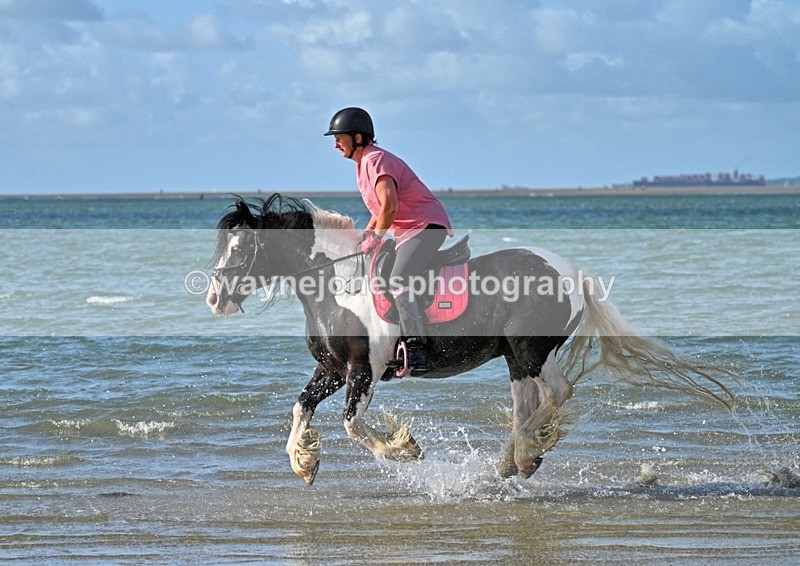 WJ7_3956_1 - Kellie & Churchill ... do Hayling Island 25-08-24