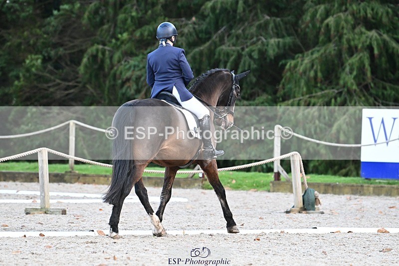 231110-144925-02039 - Cls 8 Medium 75Q