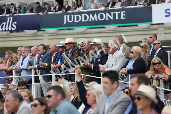 yr17082022r3-17 - Race 3 3.00pm Sky Bet Great Voltigeur Stakes