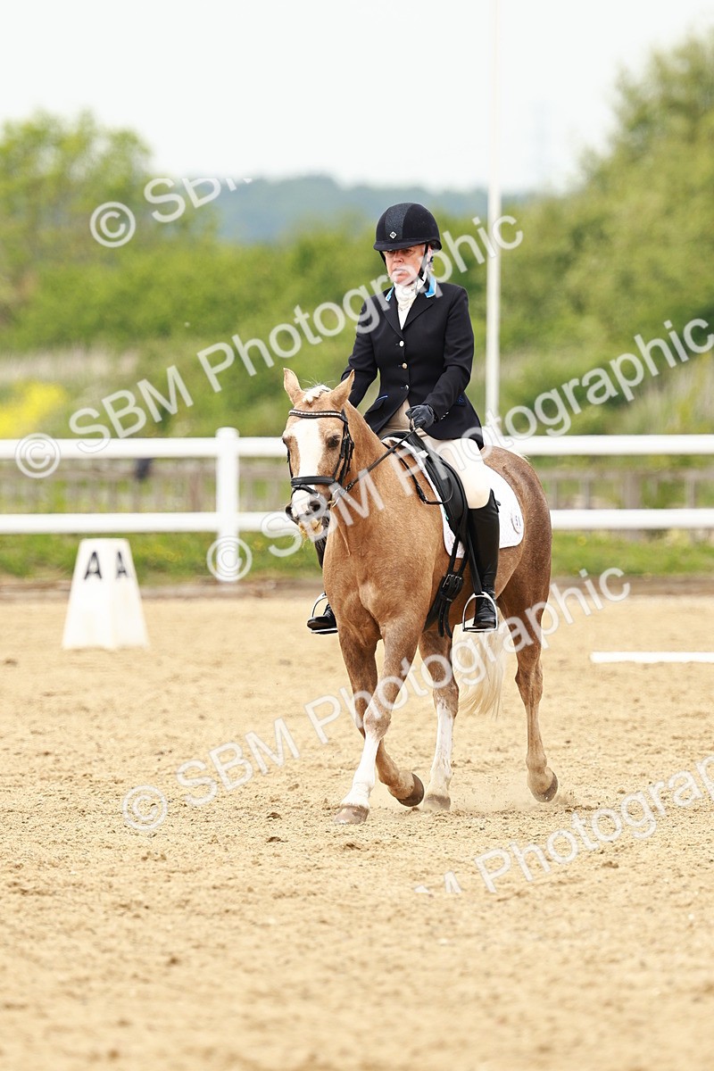 SBM_001781 - Class 7 - Novice 5