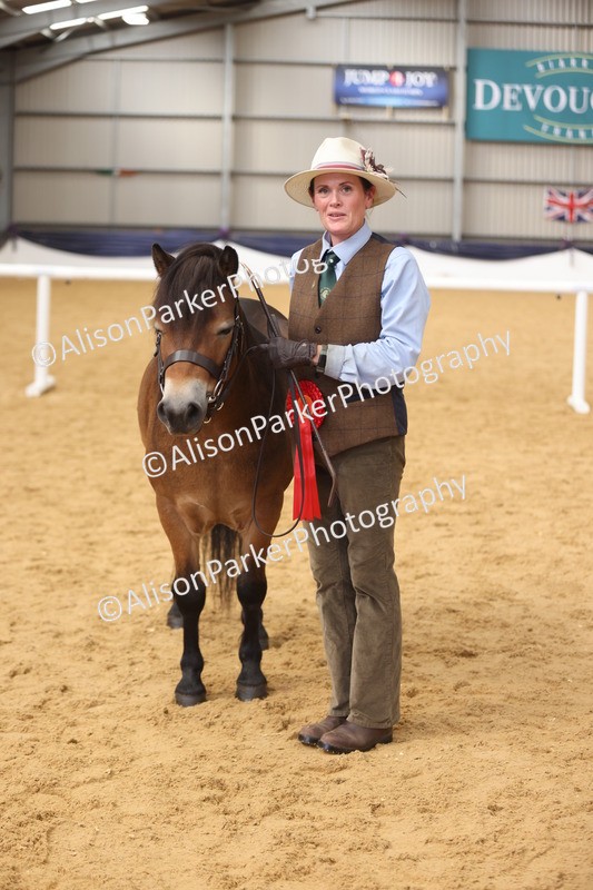 20260913-1728 - Class 115 - Gelding 4years and over