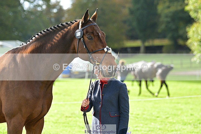 241023-132631-00290 - 053-Lois.Teal-Z7.CATASTROPHE