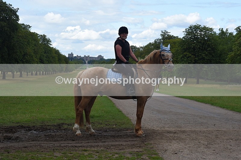 TT3_0513 - Time at Crossing 14:53 to 1526