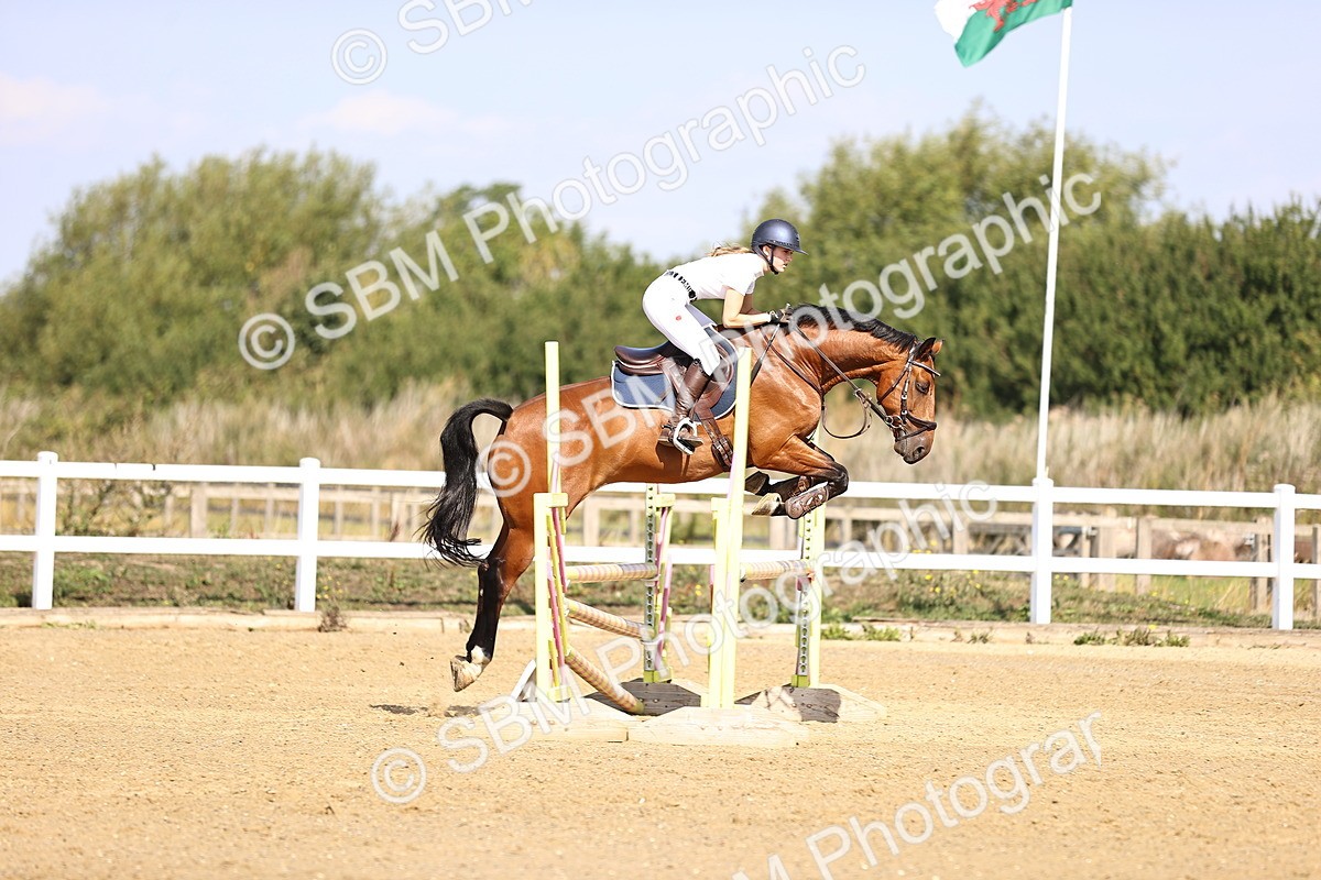 SBM_005621 - Class 9 - Senior British Novice - 90cm