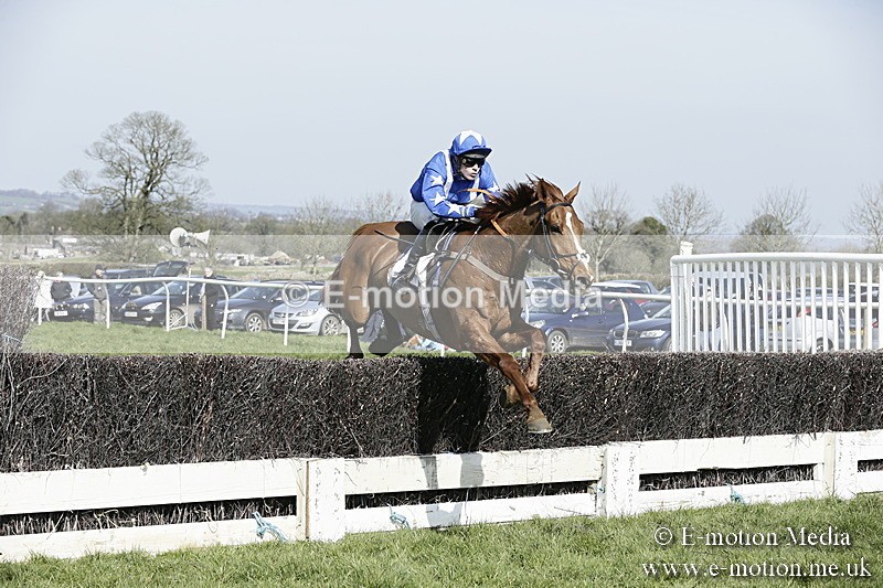 PtP 260317 128 - Mendip Farmers Point-to-Point Ston Easton 26/03/17