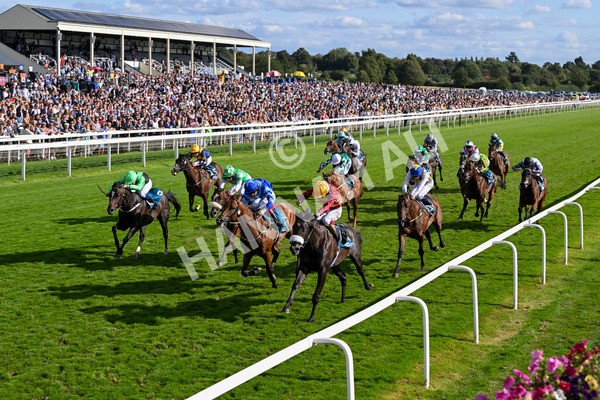 240824-Race 6-Tropical Storm-1846 - Race 6 4.45pm Julia Graves Roses Stakes