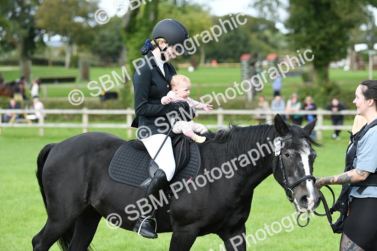 SBM_46831 - S12 - Family Horse & Pony