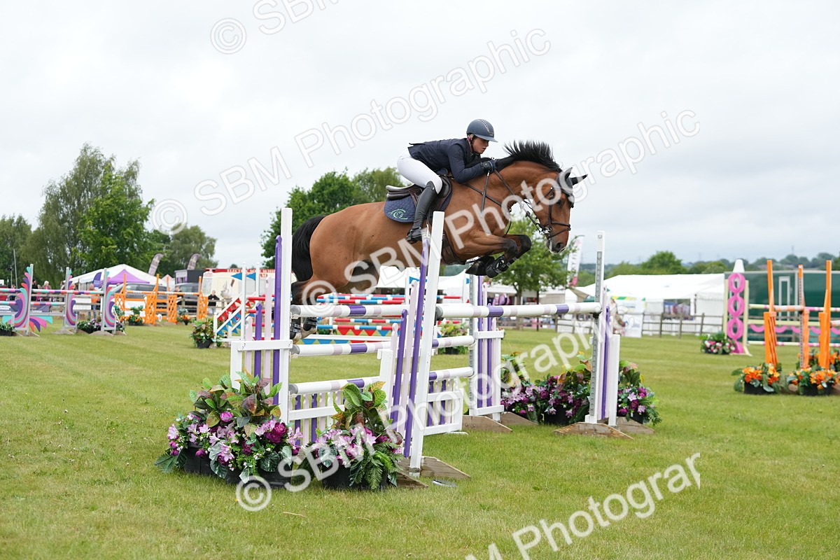 SBM_03241 - Class 201 - British Horse Feeds Speedi Beet Horse of the Year Show Grade  C