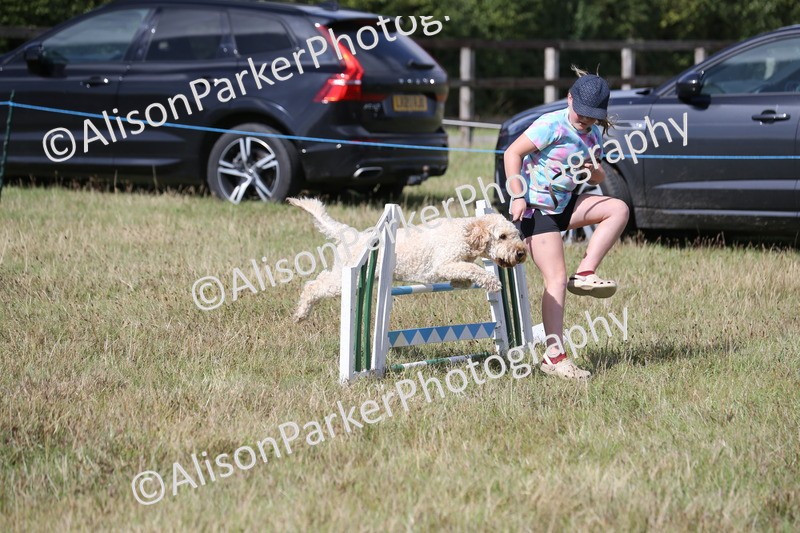 20260906-3422 - Class 34 - Dog Agility