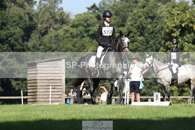 250823A-101823-26815 - Arena D