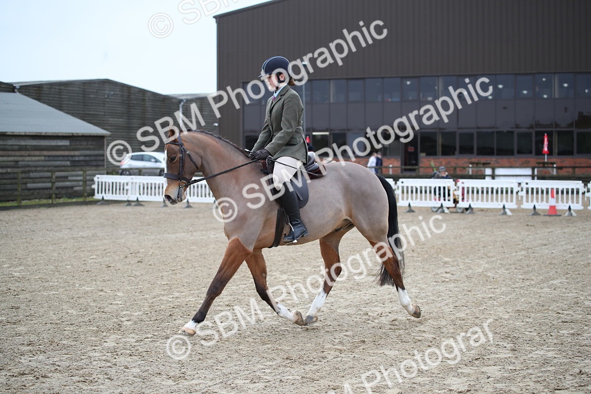 SBM_004762 - Class 5-9 - NPS In Hand-Show Hunter-Intermediate Ridden Inc Ridden Championship