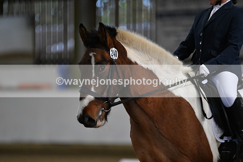 WJ5_7140 - Class 2 Intro Test 2