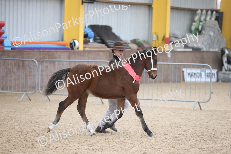 20251109-1187 - Championship