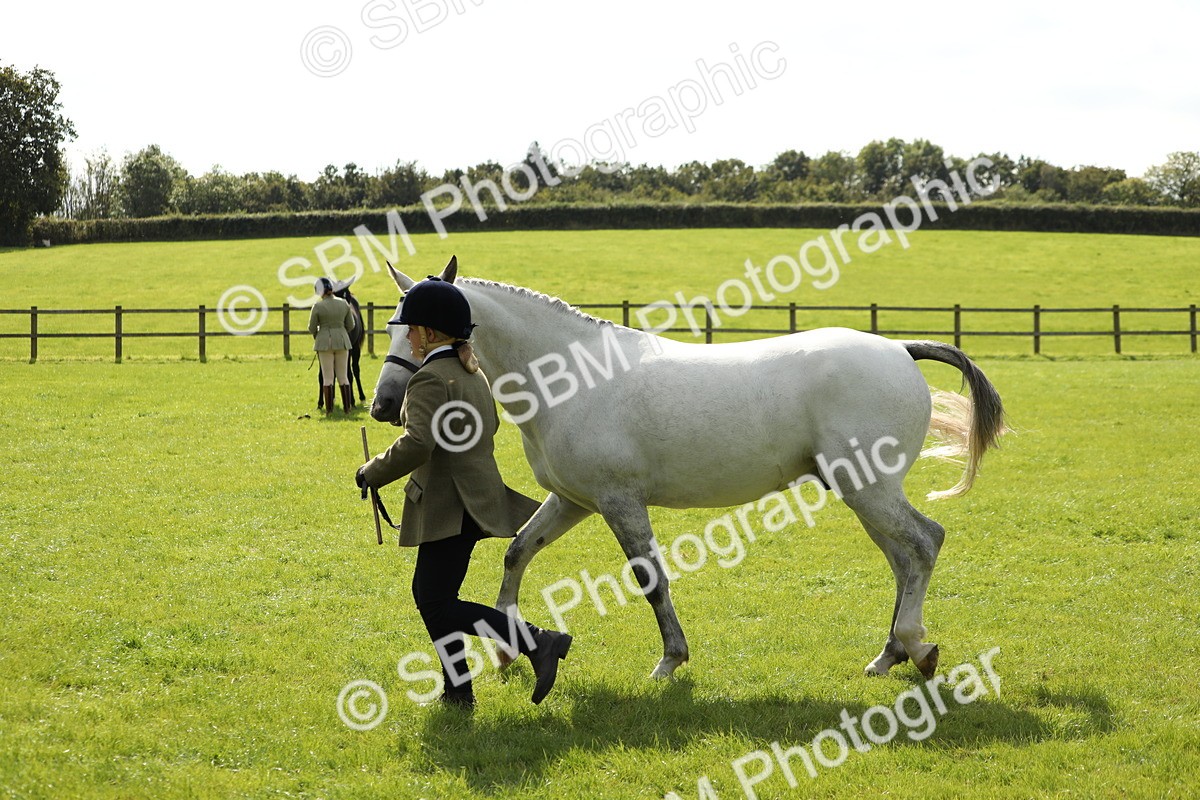 SBM_65591 - S48 - Show Pony & Show Hunter Pony In Hand