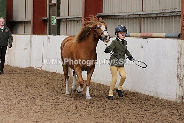 SIAL0475 - Small Arena - Saturday