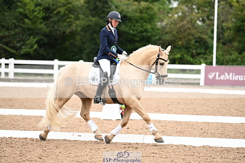 240815A-153108-02338 - Cls 9-P Freestyle Adv Medium Bronze